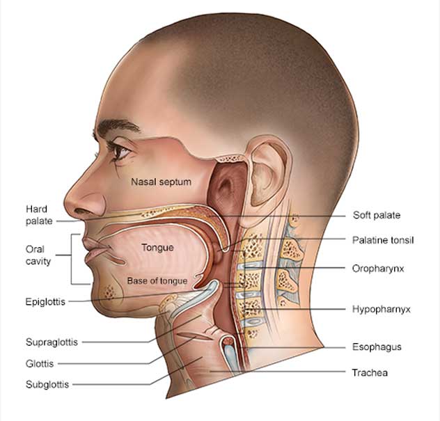 Head & Neck Cancer in Pune